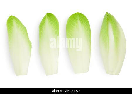 Chicory salad leaves isolated on white background with clipping path and full depth of field. Top view. Flat lay Stock Photo