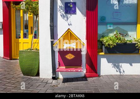Kinsale, Cork, Ireland. 24th May, 2020. Dog Bar in Kinsale, Co. Cork, Ireland. - Credit; David Creedon / Alamy Stock Photo