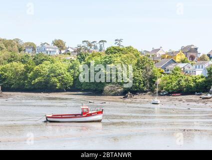 Kinsale, Cork, Ireland. 24th May, 2020. Small fishing boat, Sunflower at low tide in Kinsale, Co.Cork, Ireland. - Credit; David Creedon / Alamy Stock Photo