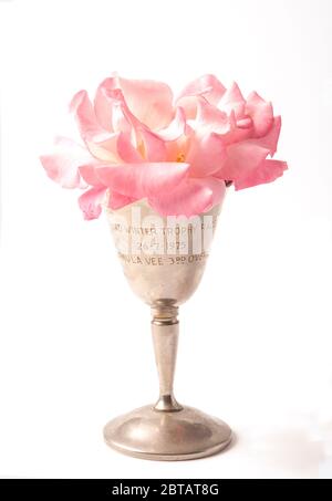 Pink rose flower in an old motor racing trophy Stock Photo