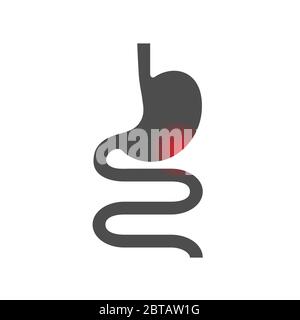 Stomach. Vector design. Stock illustration isolated on a white background. Stock Vector