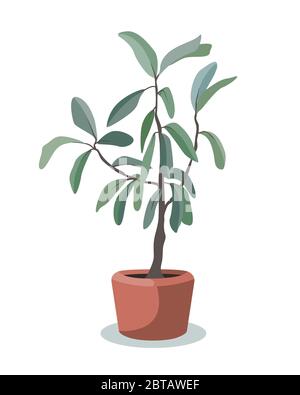 Indoor tree plant vector. Greenery for the flat design interior decoration. Front, side view Stock Vector