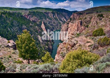 Gunnison River entering Black Canyon of the Gunnison, West Elk Loop Scenic Byway, Curecanti National Recreation Area, Colorado, USA Stock Photo