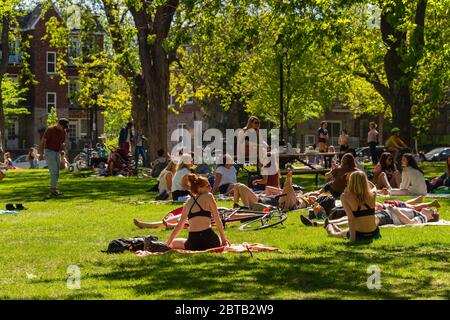 Montreal, CA - 23 May 2020 : People gathering during Coronavirus pandemic in Laurier Park Stock Photo