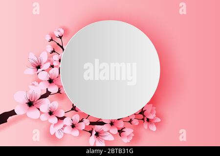 illustration of paper art and craft white circle spring season cherry blossom concept,Springtime with sakura branch, Floral Cherry blossom with pink f Stock Vector