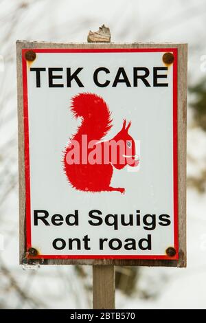 Sign Post warning of red squirrels on the road using local dialect, Cotterdale near Hawes, Yorkshire Dales National Park, UK Stock Photo