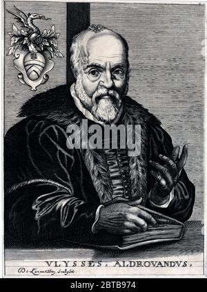 1590 c, ITALY : The italian naturalist , enthomologist ,  biologist , botanist ULISSE ALDROVANDI ( 1522 - 1605 ) aka Ulysses Aldrovandus aka Aldovrandi . Portrait by engraver Nicolas de Larmessin ( 1632 - 1694 ) . - HISTORY - foto storica storiche - portrait - ritratto - NATURALISTA - NATURALIST - SCIENZA - SCIENCE - BIOLOGY - BIOLOGIA - ENTOMOLOGO - ENTOMOLOGIA - BOTANICO - BOTANICA - BOTANIC - illustration - illustrazione - incisione - engraving  - beard - barba - libro - book --- Archivio GBB Stock Photo