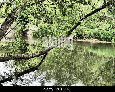 River Derwent, Derwent Country Park, Swalwell, Gateshead, UK Stock Photo