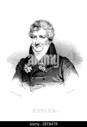 1830 ca, FRANCE : The french anatomist and paleontologist  Baron GEORGES CUVIER ( 1769 - 1832 ) . Portrait engraved by Hamberger after Nicolas-Eustache Maurin ( 1799 - 1850 ). - ZOOLOGIST - ZOOLOGO - ZOOLOGIA - FOSSILE - FOSSIOLI - ZOOLOGY - BIOLOGIA - BIOLOGY - BIOLOGO - BIOLOGIST - PALEONTOLOGO - PALEONTOLOGIA - ANATOMIA - ANATHOMY - ANATOMIST - ANATOMISTA - HISTORY - foto storica storiche - scientist - portrait - ritratto - - DOTTORE - MEDICO - MEDICINA - medicine - SCIENZA - SCIENCE -  DOTTORE - MEDICIAN - illustrazione - illustration - engraving - incisione - collar - colletto -- Archivio Stock Photo