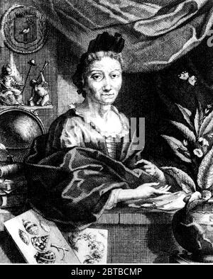 1700 c, GERMANY : The german naturalist woman painter , scientific illustrator and biologist MARIA SIBYLLA MERIAN ( 1647 - 1717 ). Sybylla's father was the Swiss engraver and pubblisher Matthäus Merian ( Matthew , 1593 - 1650 ) the Elder . Portrait by engraver Jacobus Houbraken from a portrait by Georg Gsell . - SYBILLA - HISTORY - foto storica storiche - portrait - ritratto - NATURALISTA - NATURALIST - SCIENZA - SCIENCE - BIOLOGY - BIOLOGIA - illustratrice - illustratore - illustrator - woman painter - pittrice - pittura - painting - ARTE - ARTS - ART - illustration - illustrazione - incision Stock Photo