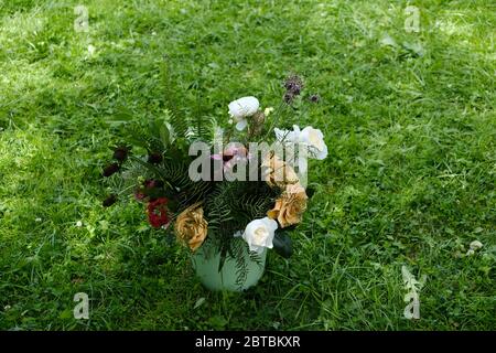Bouquet of wilted flowers in a vase on a background of green grass. Stock Photo