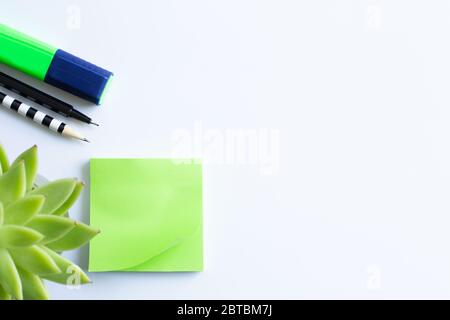 Home plant in soft focus, sticky notes, pen pencil and marker. Stationery flat lay. Back to school. White background Stock Photo