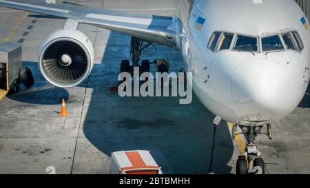Professional mechanics in airport ground crew checking airplane chassis before flight Stock Photo