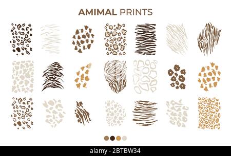 Tiger prints patterns, safari animals skin of leopard, jaguar and zebra, vector texture decoration elements. Safari animals print patterns, panther cheetah and giraffe fur hair leather isolated set Stock Vector
