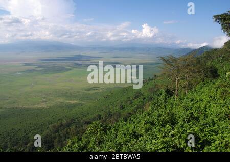 Landscape in the Ngorongoro crater in Tanzania Stock Photo