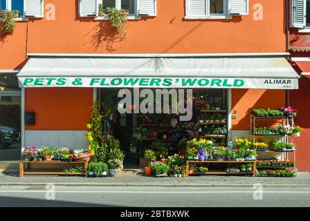 Exterior and entrance of a flower shop with blooming plants on display on the sidewalk in a sunny spring day, Garda, Verona, Veneto, Italy Stock Photo