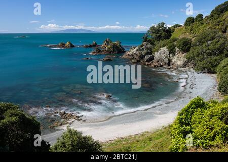 Fisherman Bay on Tiritiri Matangi Island, a pest free sanctuary island in the Hauraki Gulf of New Zealand Stock Photo