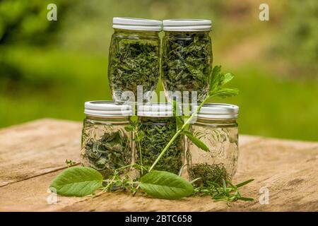 Jars of homemade dried herbs (top row: oregano and mojito mint; bottom row: sage, oregano and rosemary), with fresh herbs in front (sage, thyme, mojit Stock Photo