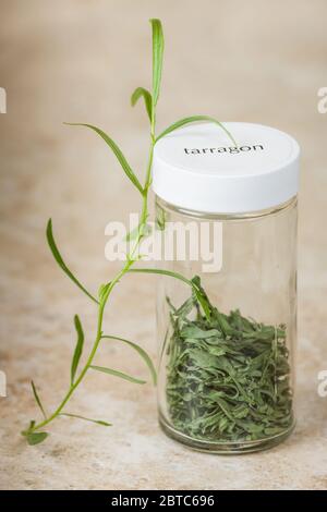 Jar of fresh and newly dried tarragon Stock Photo