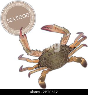 Fresh crab on white background detailed vector Stock Vector