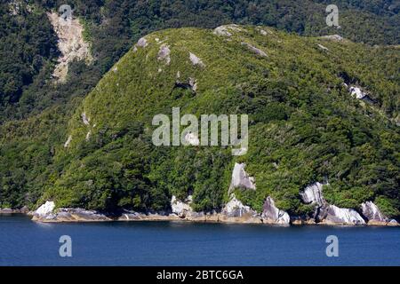 Thomson Channel in Doubtful Sound,Fiordland National Park,South Island,New Zealand Stock Photo
