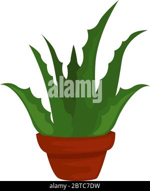 Aloe in pot , illustration, vector on white background Stock Vector