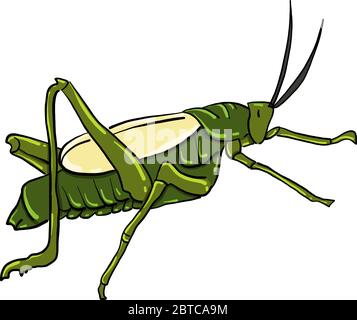 Grasshopper , illustration, vector on white background Stock Vector