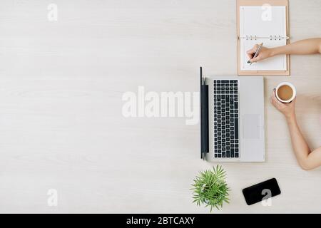 Female freelancer working at big office table, drinking coffee and taking notes in planner Stock Photo