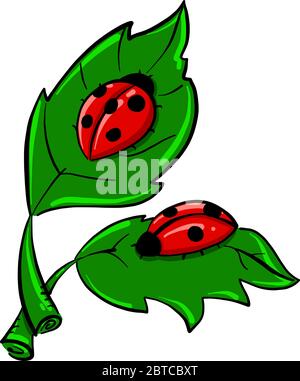 Ladybugs on leaves , illustration, vector on white background Stock Vector