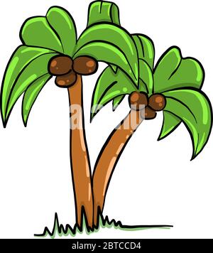 Two palm trees , illustration, vector on white background Stock Vector