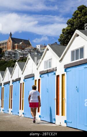 Boat sheds in Chaffers Marina, Oriental Bay,Wellington City,North Island,New Zealand Stock Photo