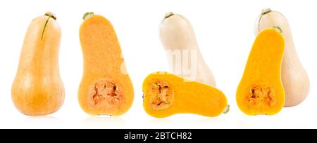 Set of Fresh butternut squash isolated on a white background. Stock Photo