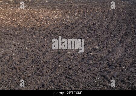 a farm land in India plowed for sowing before the monsoon starts Stock Photo