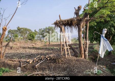 a farm land in India plowed for sowing before the monsoon starts Stock Photo