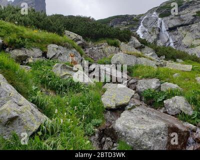 Stone wall in the mountains Stock Photo