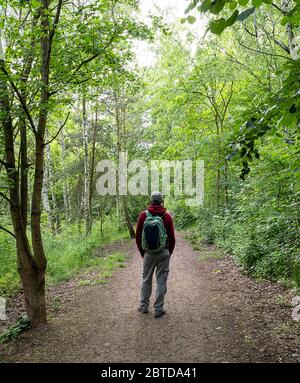 Alone tourist with backpack in green spring forest. Stock Photo