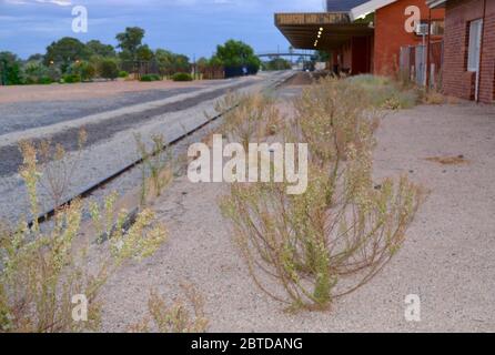 Weeds growing through the disused and abandoned desolate railway station platform at the Mildura Railway Station in Australia Stock Photo