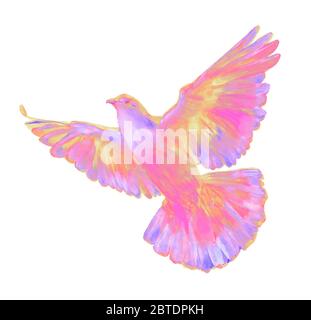 Watercolor and digital watercolor illustration of a bird, a pigeon in rainbow colors, a symbol of the Holy Spirit, isolated on white background. Stock Photo