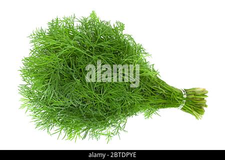 Dill herb bunch isolated on white background Stock Photo