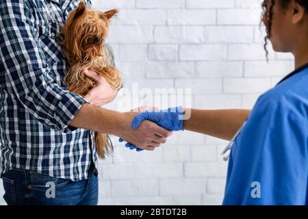 Handshake between veterinary doctor and little dog's owner in clinic, closeup Stock Photo