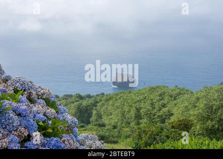 Walk on the Azores archipelago. Discovery of the island of Sao Miguel, Azores. Portugal Stock Photo