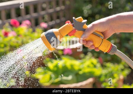 Female hand holding a watering hose spray gun watering plants in a garden. UK Stock Photo