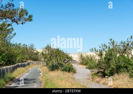 Sand dunes in Carcans, near Lacanau in France Stock Photo