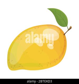 Cartoon ripe mango fruit, vector illustration Stock Vector