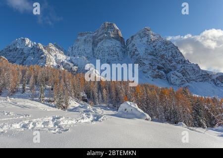 Unrecognizable child on top of a boulder covered in snow in a winter environment, Val Fiorentina, Dolomites, Italy. Concept: winter landscapes, Christ Stock Photo