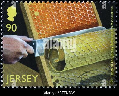 Beekeeper cutting wax from honeycomb frame on stamp Stock Photo
