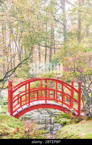 Red wooden bridge over small creek in a Japanese garden in autumn Stock Photo