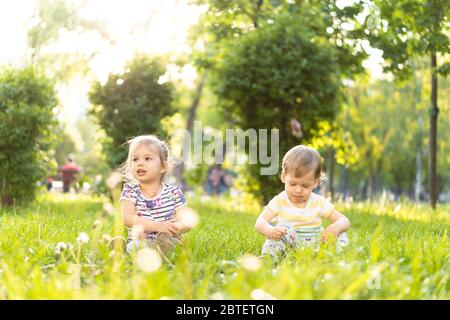 Childhood, summer and leisure concept - two cute happy little babies of irish twins boy and girl sitting in bright grass with dandelions in the Stock Photo