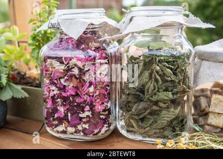 Dried herbs mint leaves and rose petals in glass jars on wooden table, with green background. Stock Photo