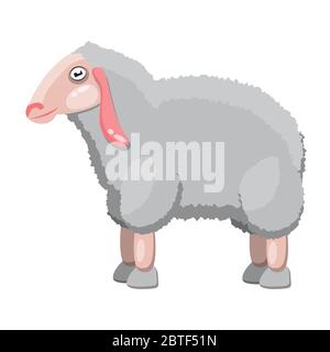 Sheep is a pet on a white isolated background. Vector image Stock Vector